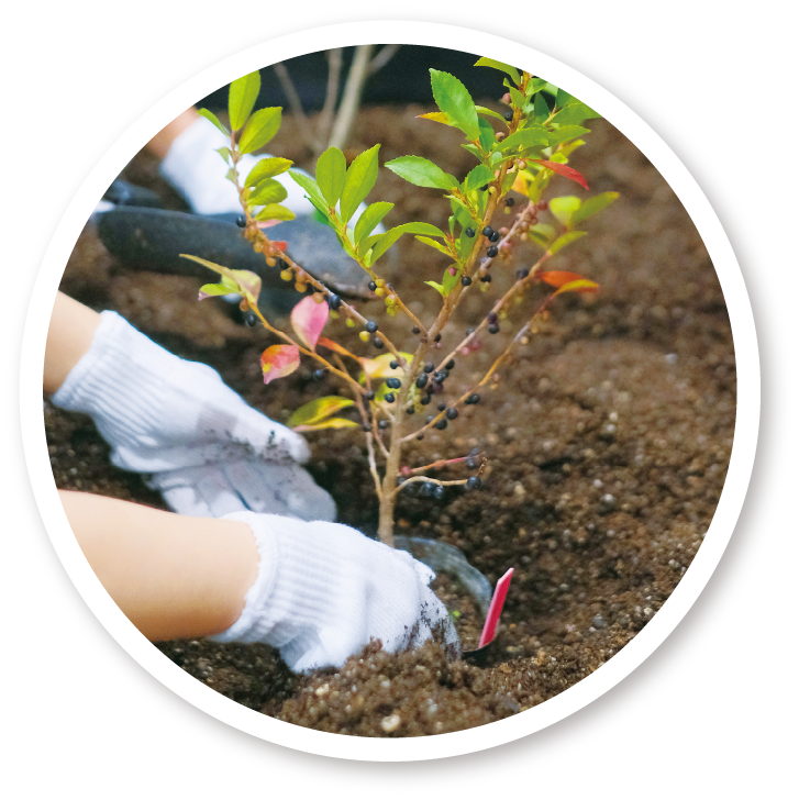 私たちの共創チャレンジ