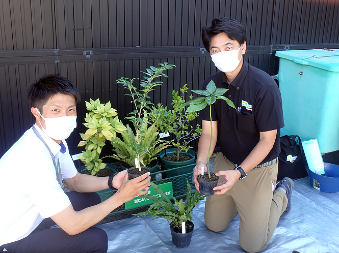 neoharu&reg;（ネヲハル）の体験