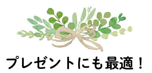 プレゼントにも最適！