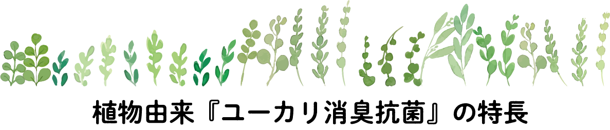 植物由来『ユーカリ消臭抗菌』の特長